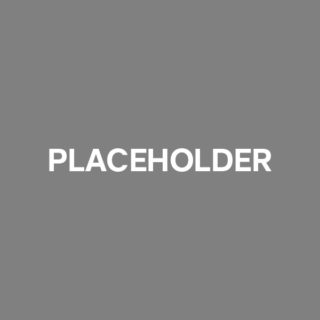 Main_PlaceHolder